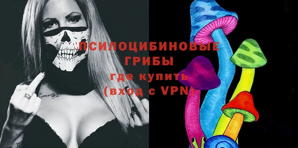 ешки Алзамай