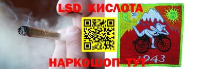 прущие грибы Кунгур