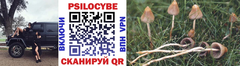 цены Дедовск Псилоцибиновые грибы MAGIC MUSHROOMS
