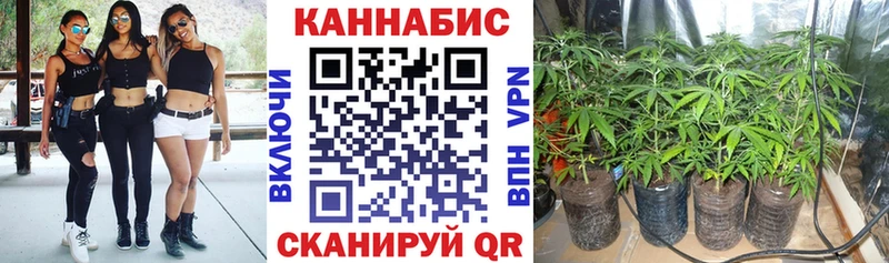 Бошки марихуана план  Дедовск 